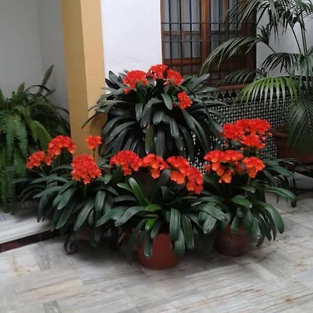 Apartamento Comfortable In Córdoba, 42 M², Parking.