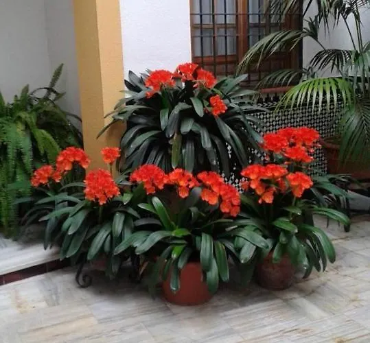 Comfortable In Cordoba, 42 M², Parking. Appartement