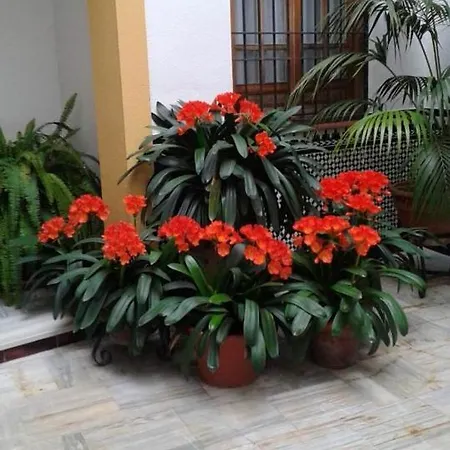 Comfortable In Cordoba, 42 M², Parking. Appartement